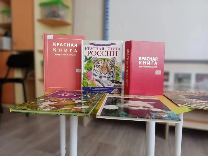 IMG_20260311_143302_027